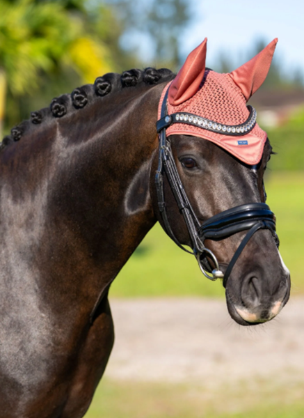 OREJERAS MODERN CORAL EQUESTRIAN STOCKHOLM